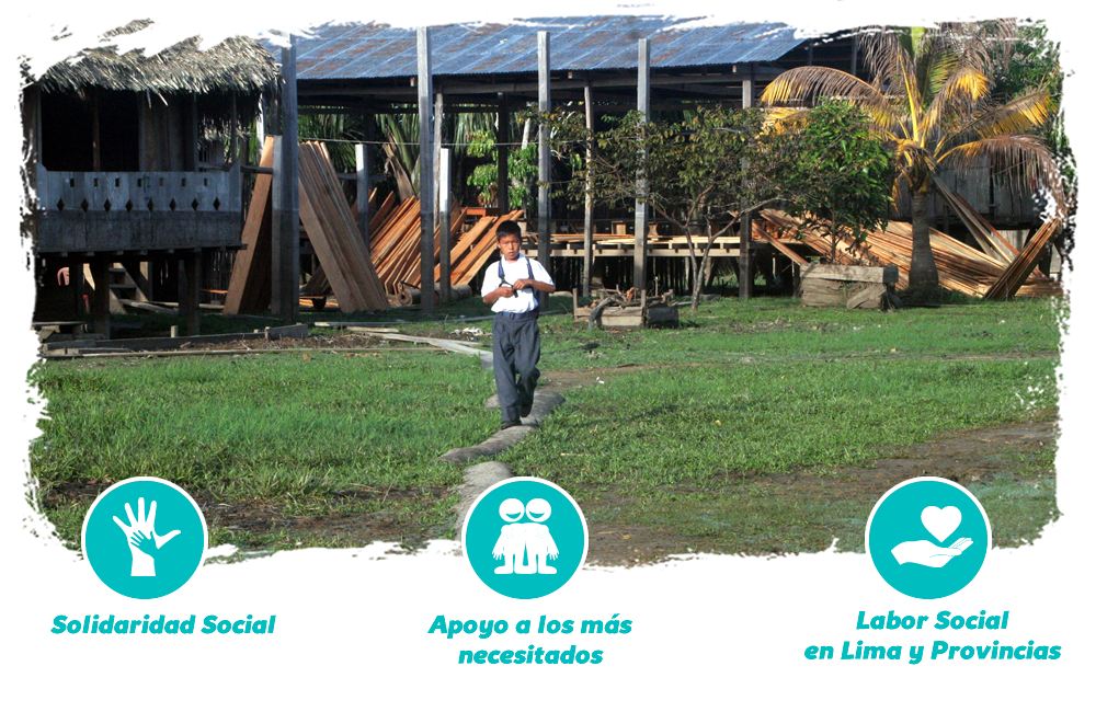 Proyecto de desarrollo